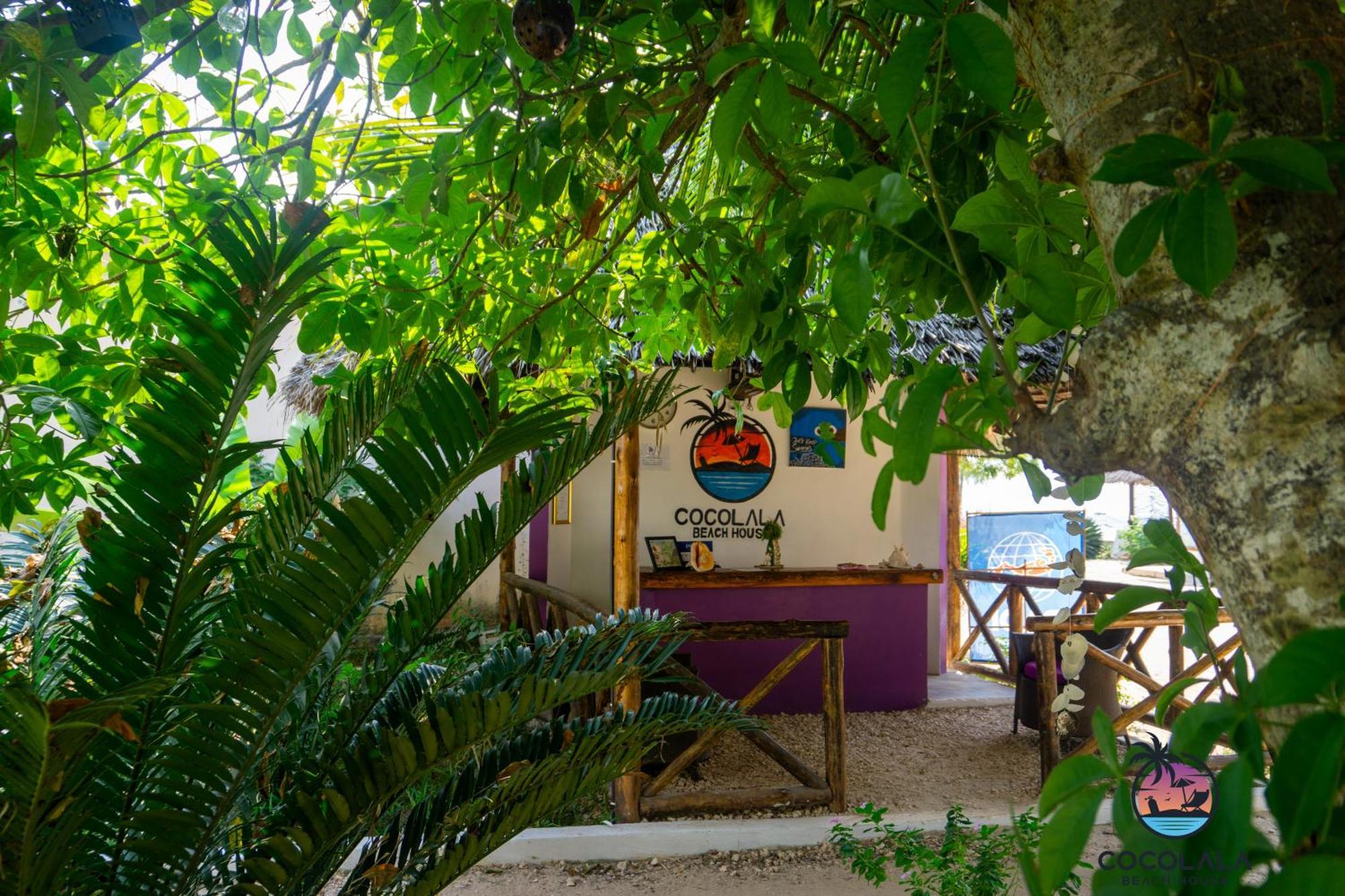 Cocolala Beach House Nungwi Exterior photo